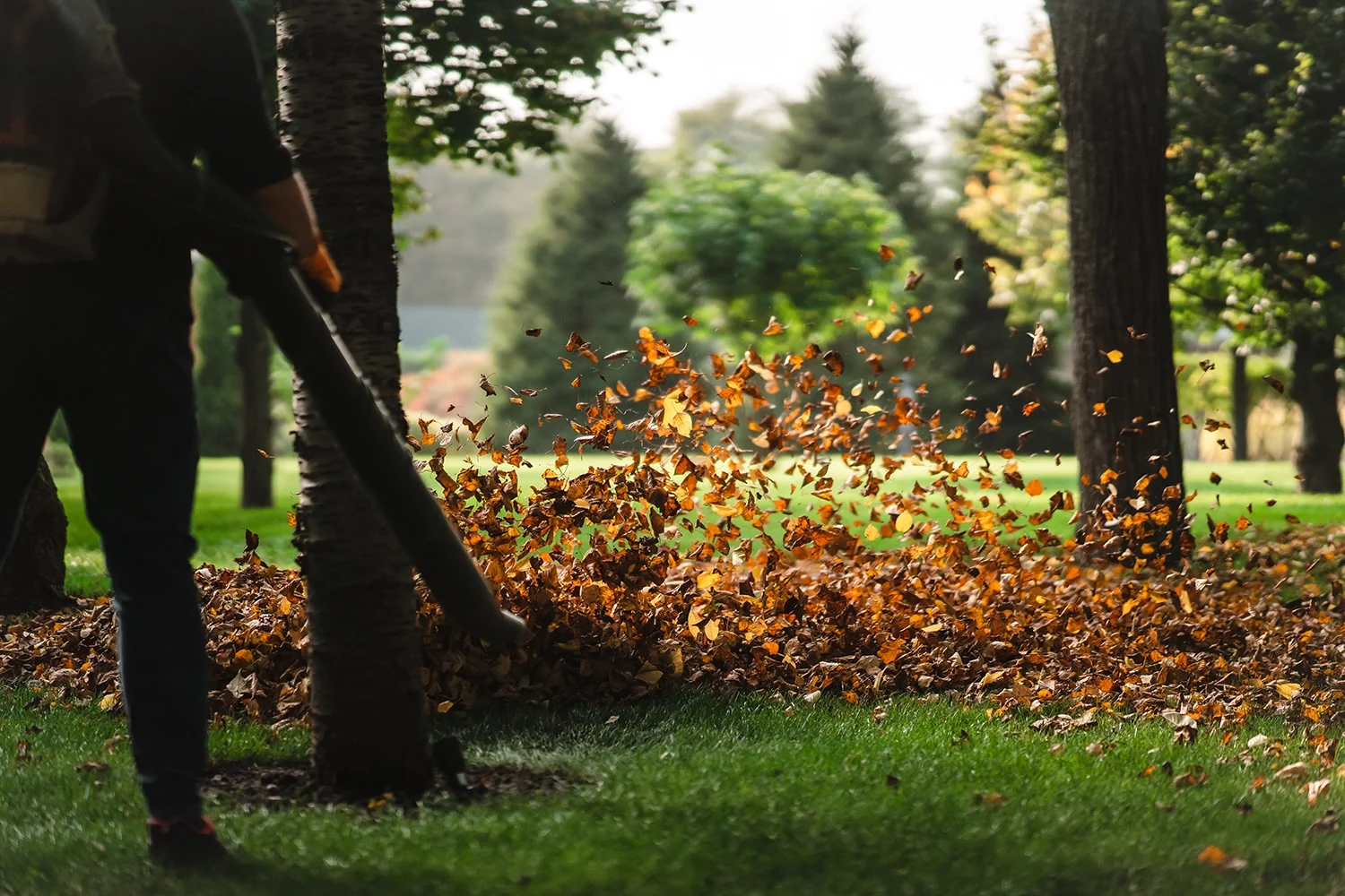 Spring Fall Clean Ups CT
